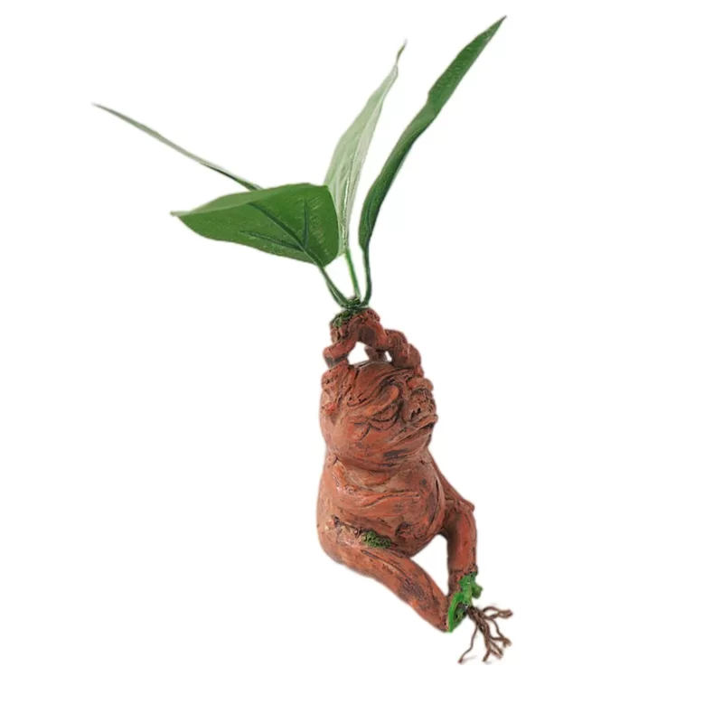 figura mandragora