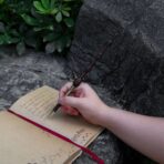 boligrafo varita dumbledore
