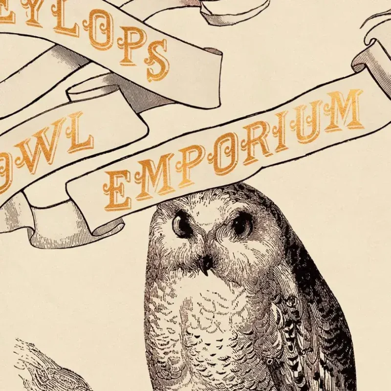 poster emporio de la lechuza