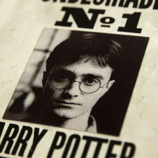 tarjeta wanted harry potter